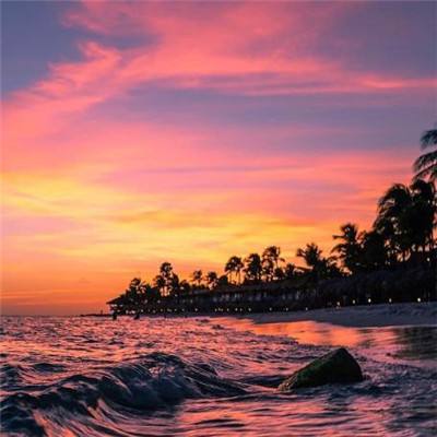 Bsport体育在线官网