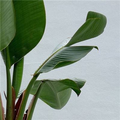 万博manbetx官方网站登录