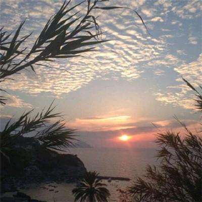 365体育中国官方网站