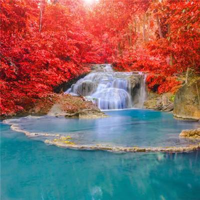 九游J9真人游戏第一品牌