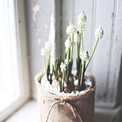 ob体育最新官网下载手机版