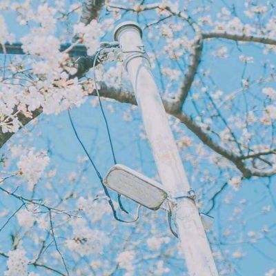 中欧·体育下载手机版