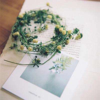 博鱼·体育中国入口下载手机版