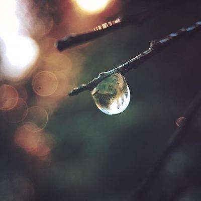 亚博AG娱乐app下载