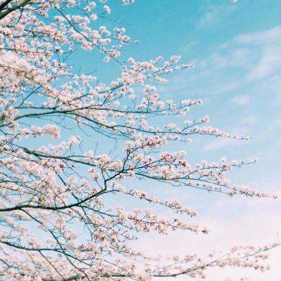 米博体育官方网站入口下载