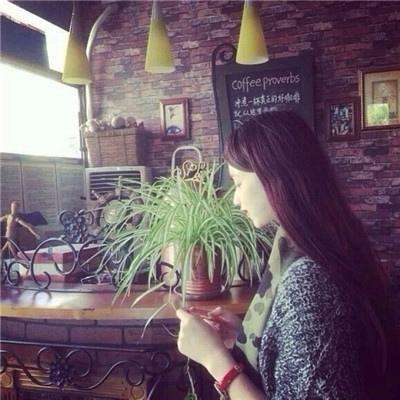 B—sports登录B体育