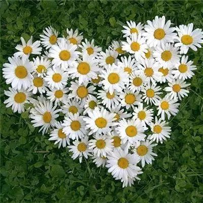 美高梅网址app下载